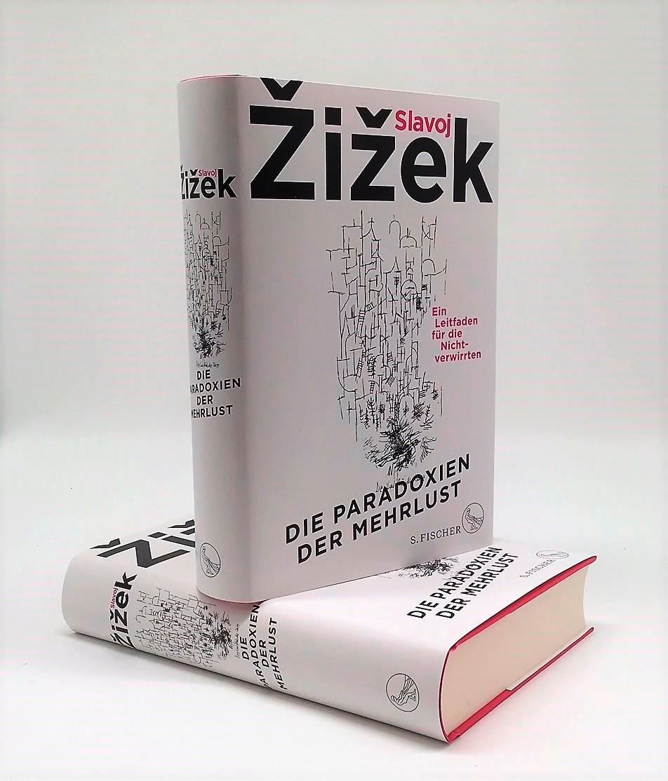 Beispielinhalt (Bild) Die Paradoxien der Mehrlust