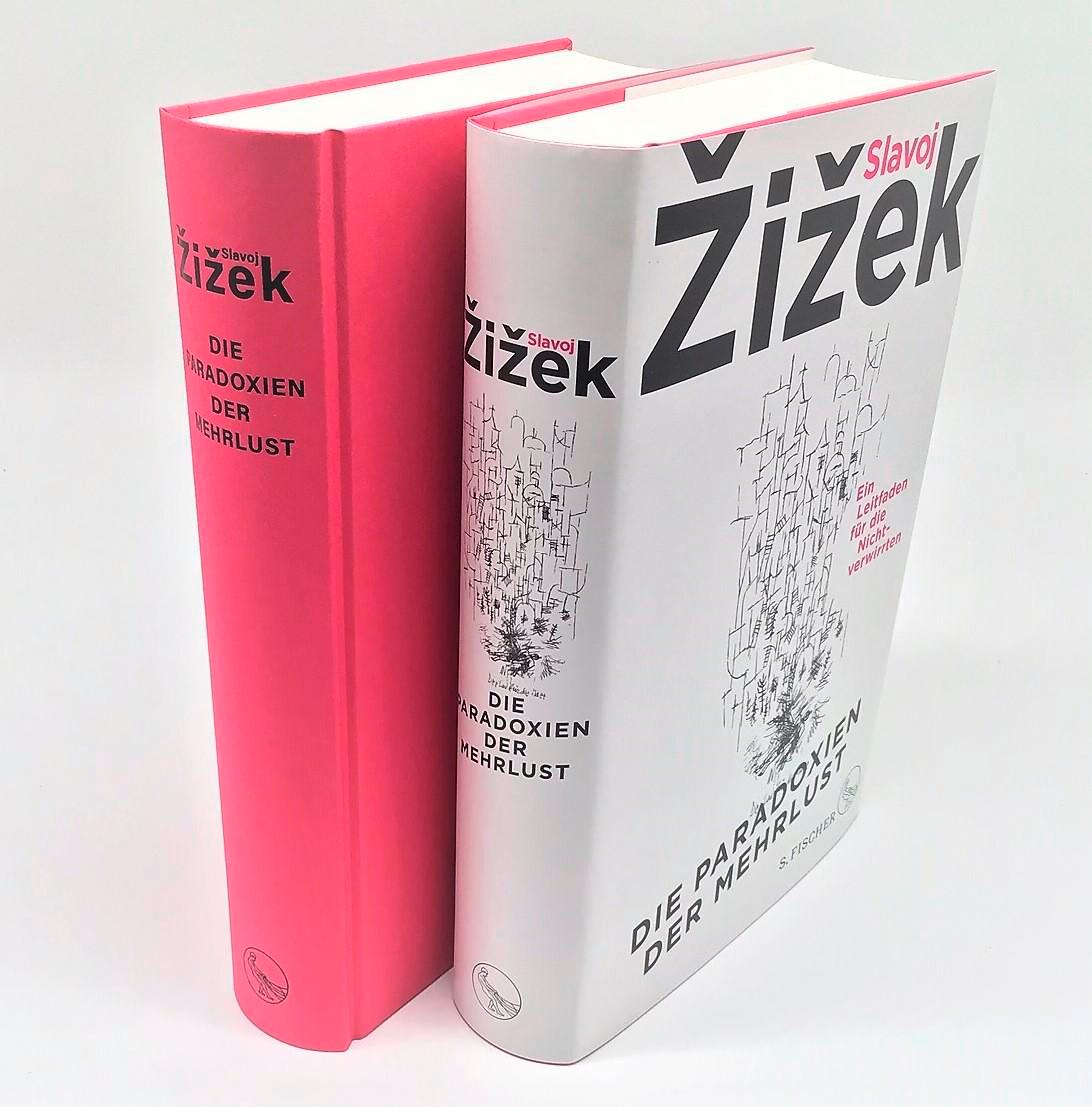 Beispielinhalt (Bild) Die Paradoxien der Mehrlust