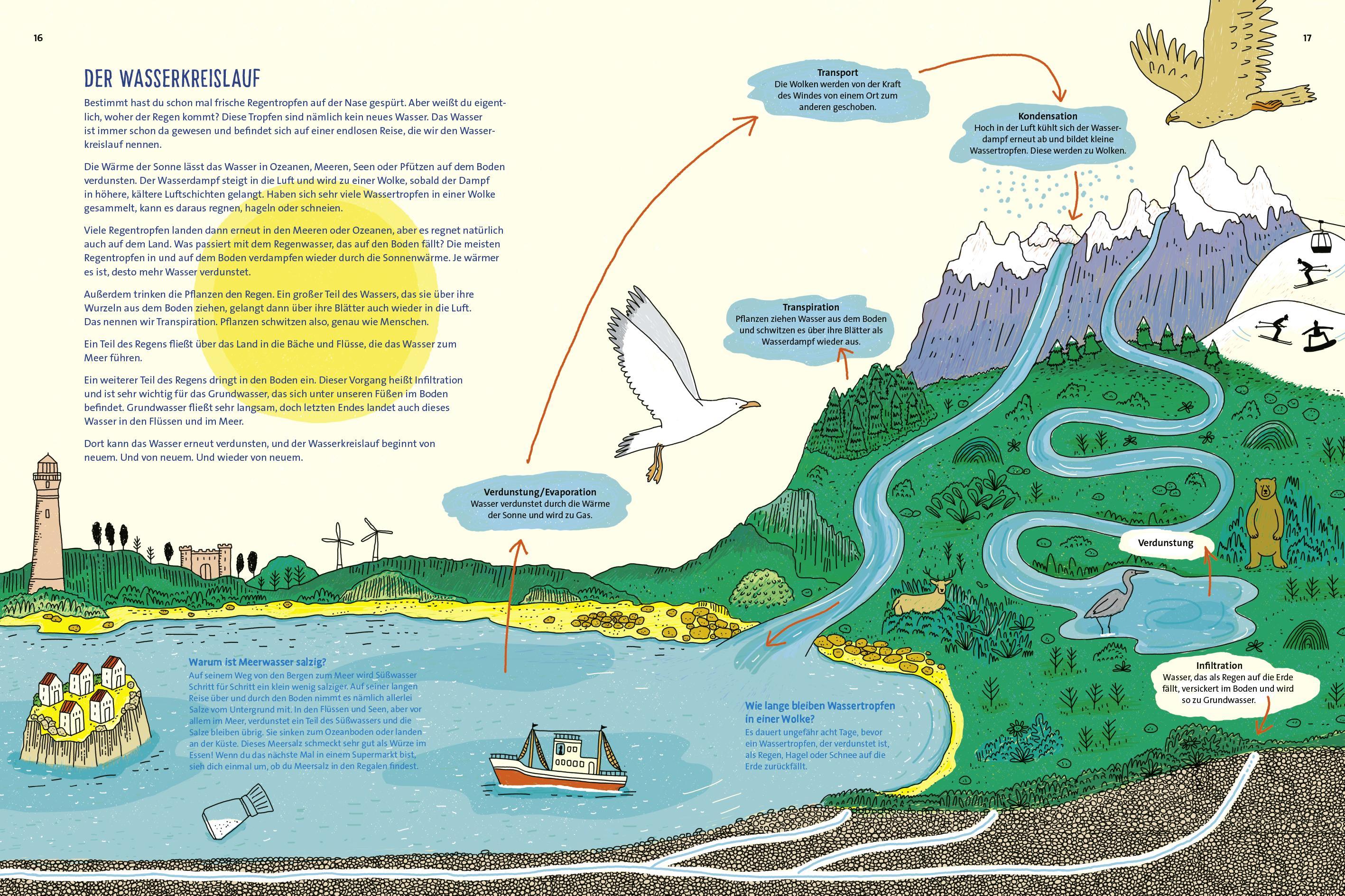 Beispielinhalt (Bild) Wasser ist Leben