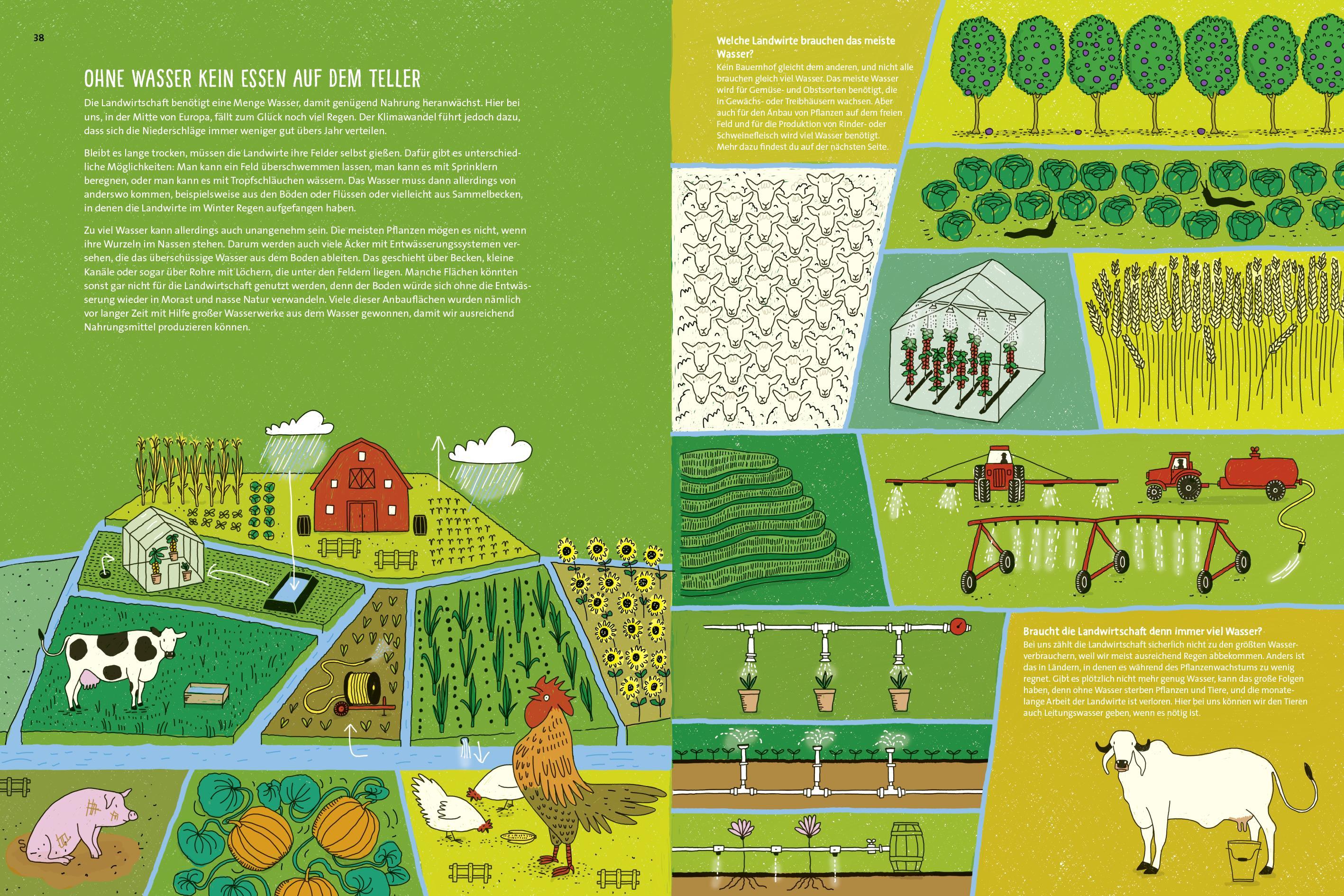 Beispielinhalt (Bild) Wasser ist Leben