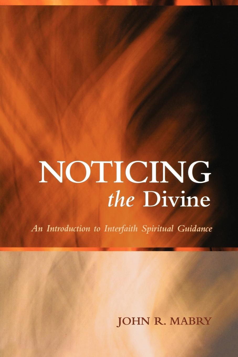Vorderes Coverbild Noticing the Divine