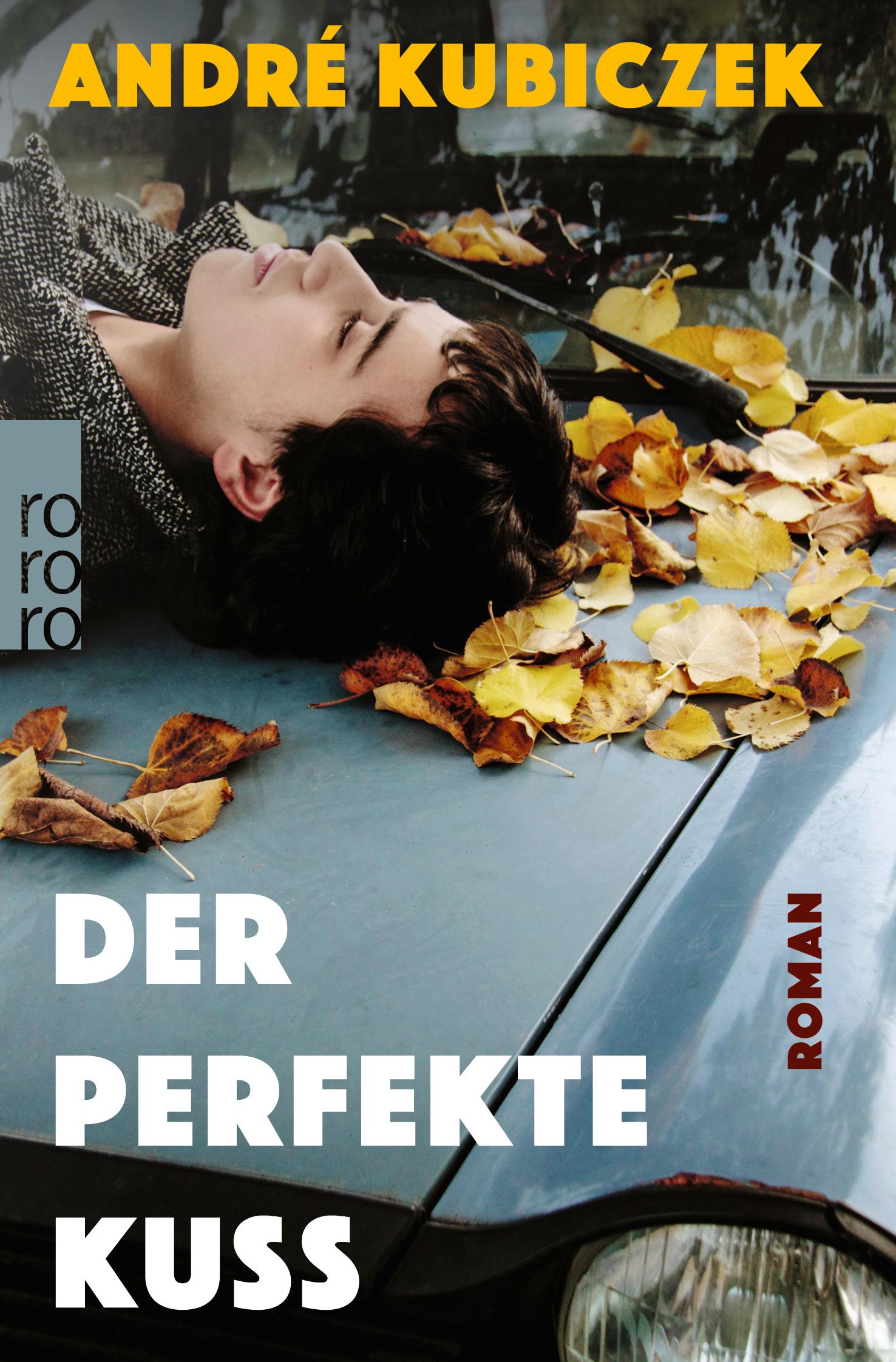 Vorderes Coverbild Der perfekte Kuss