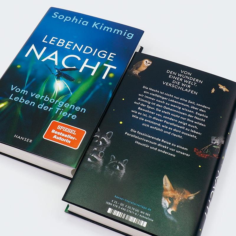 Beispielinhalt (Bild) Lebendige Nacht