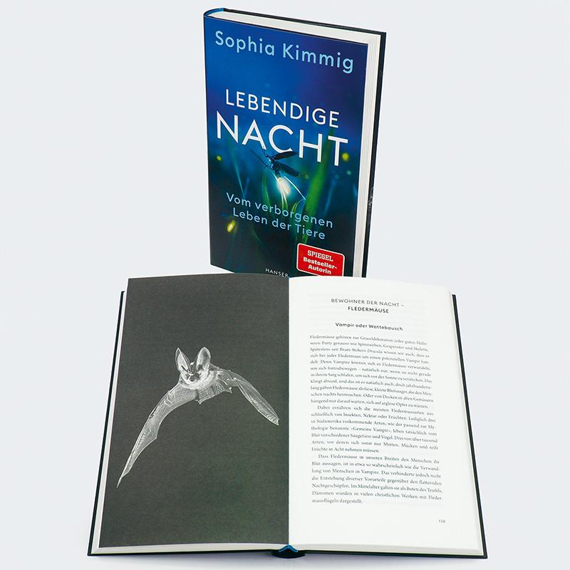 Beispielinhalt (Bild) Lebendige Nacht