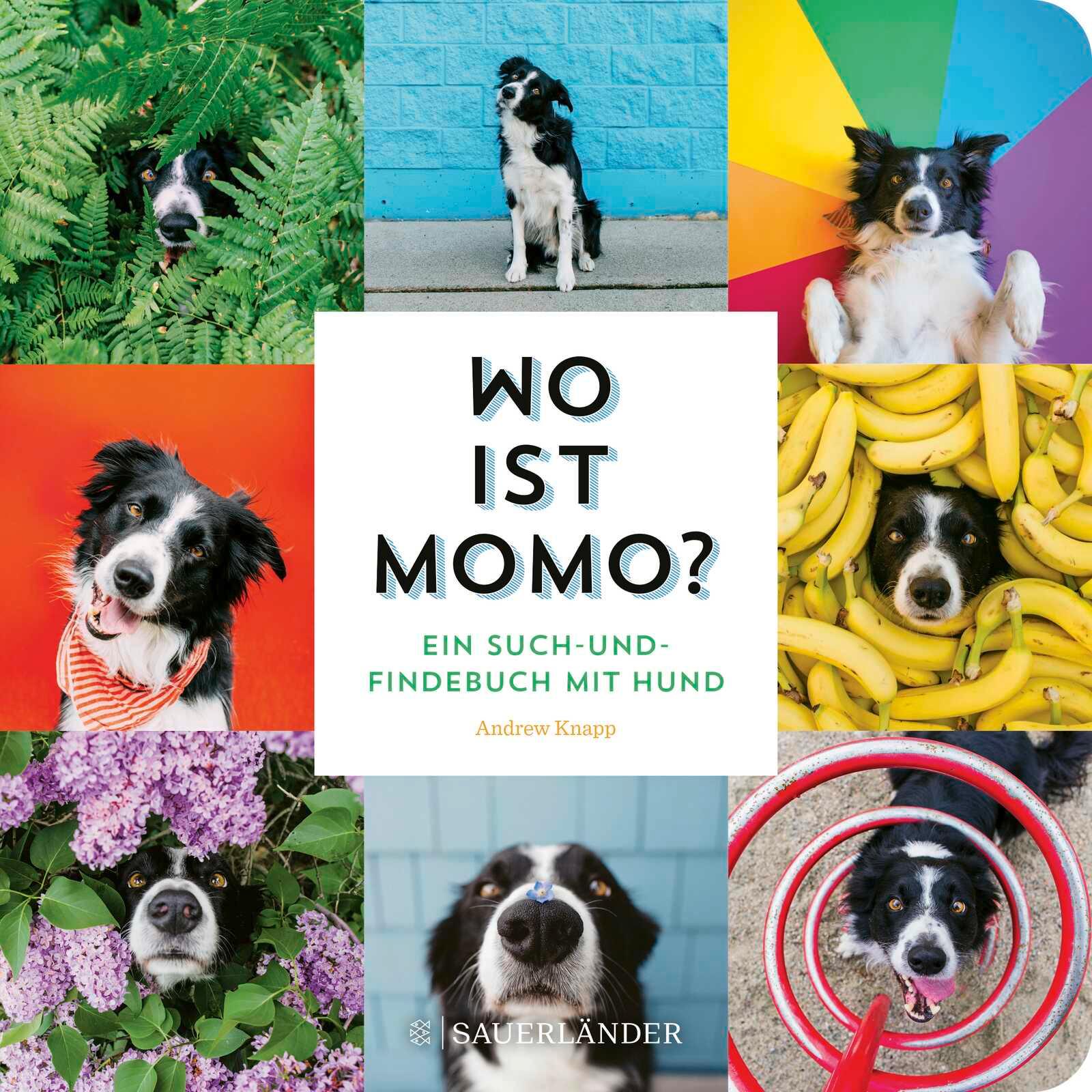Vorderes Coverbild Wo ist Momo?