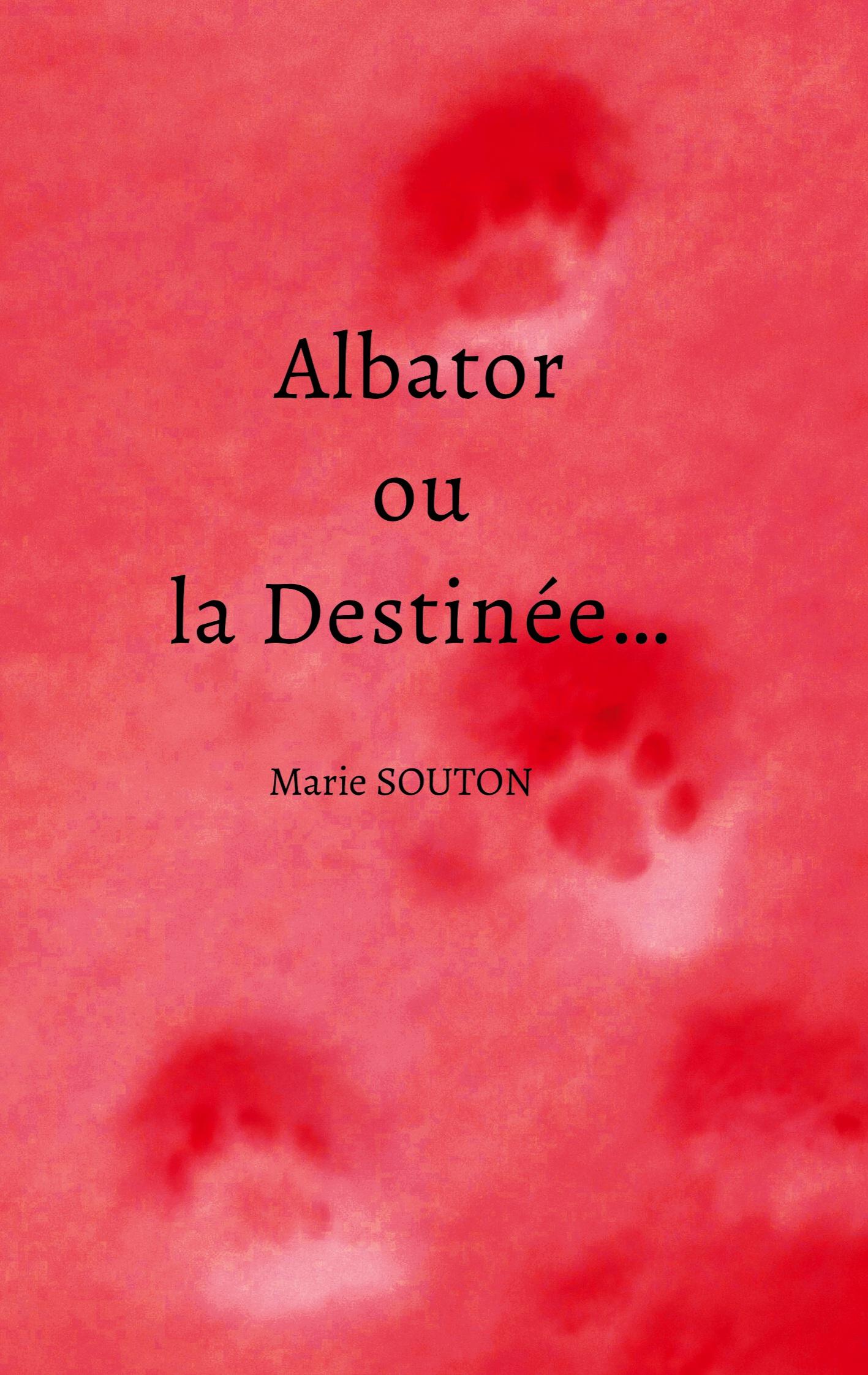 Vorderes Coverbild Albator ou la Destinée...