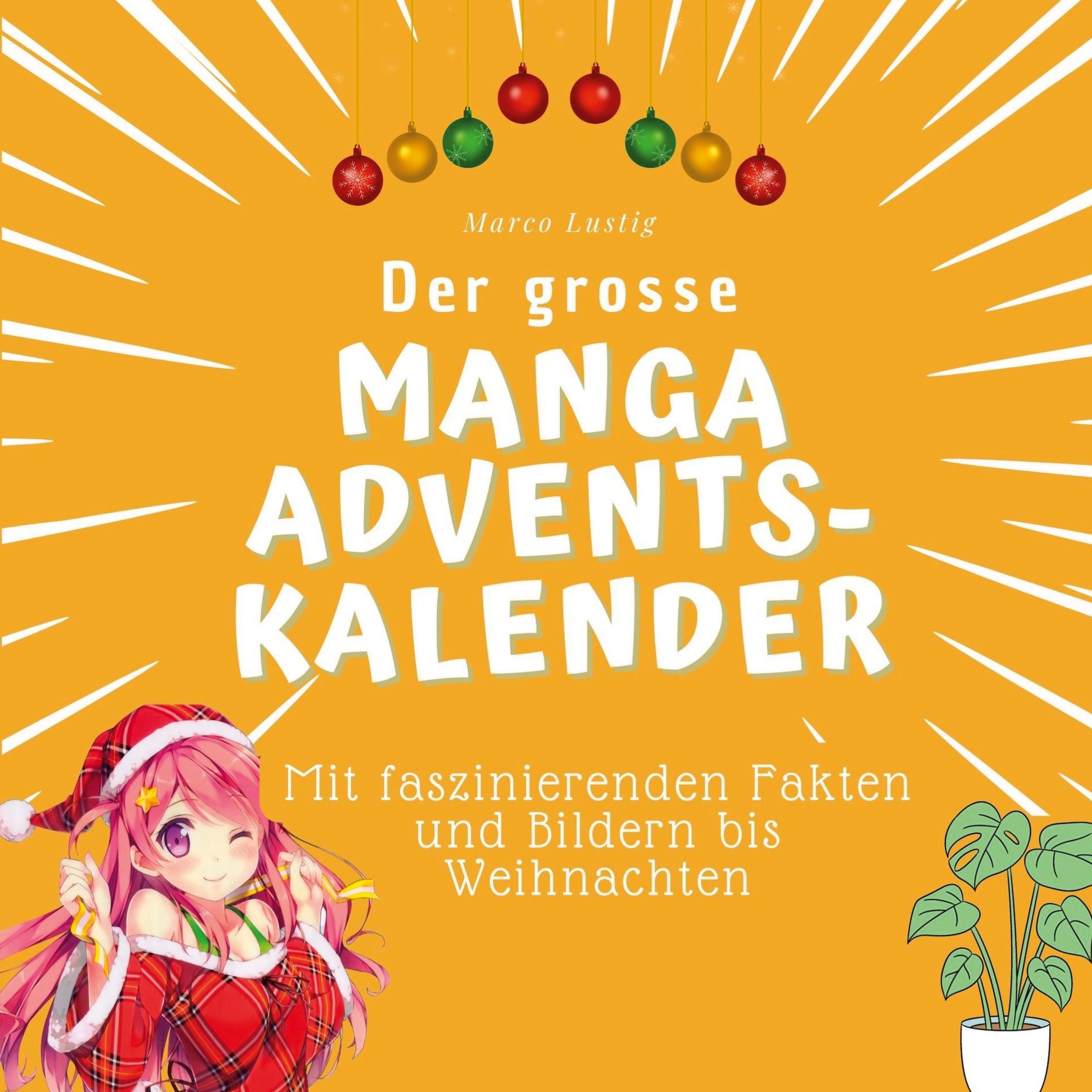Vorderes Coverbild Der grosse Manga-Adventskalender