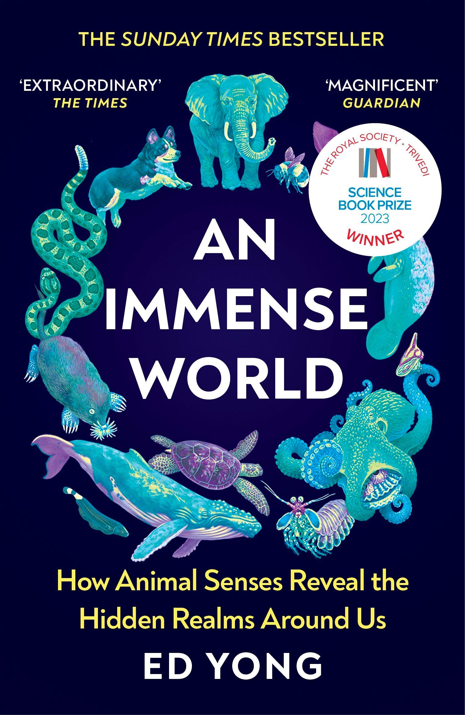 Vorderes Coverbild An Immense World