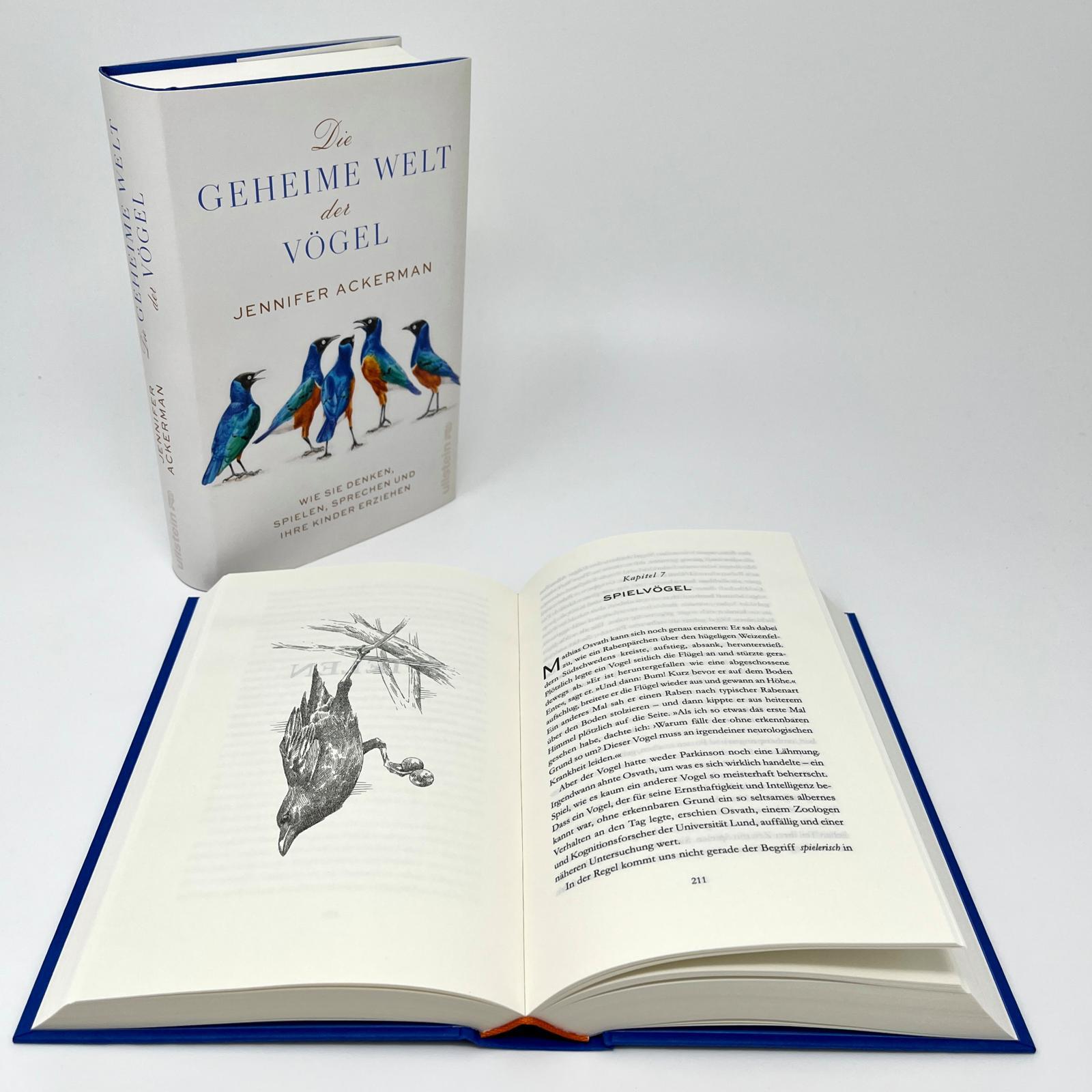 Beispielinhalt (Bild) Die geheime Welt der Vögel
