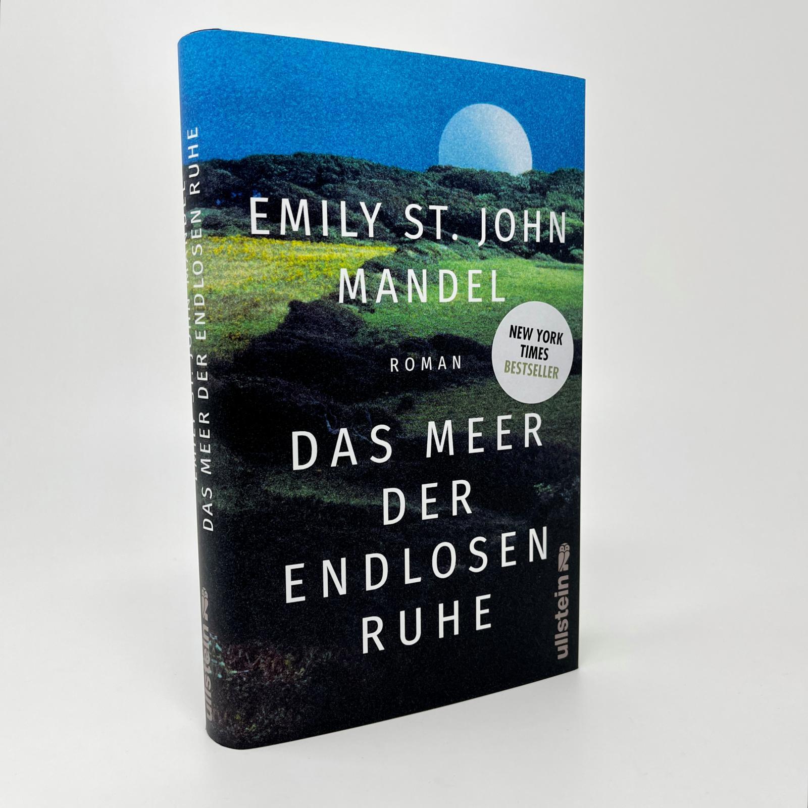 Beispielinhalt (Bild) Das Meer der endlosen Ruhe