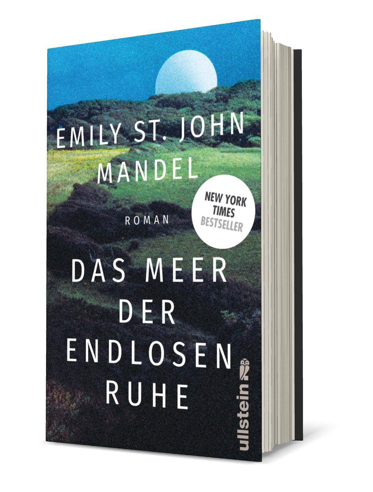 Vorderes Coverbild Das Meer der endlosen Ruhe