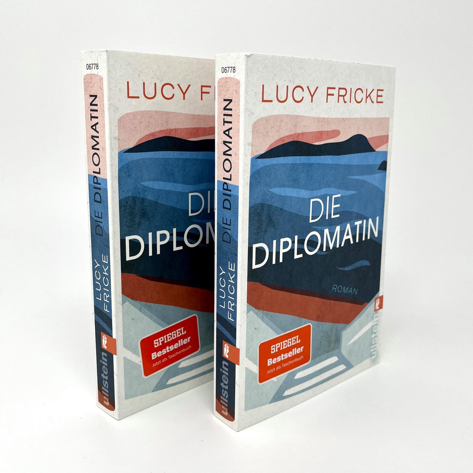 Beispielinhalt (Bild) Die Diplomatin