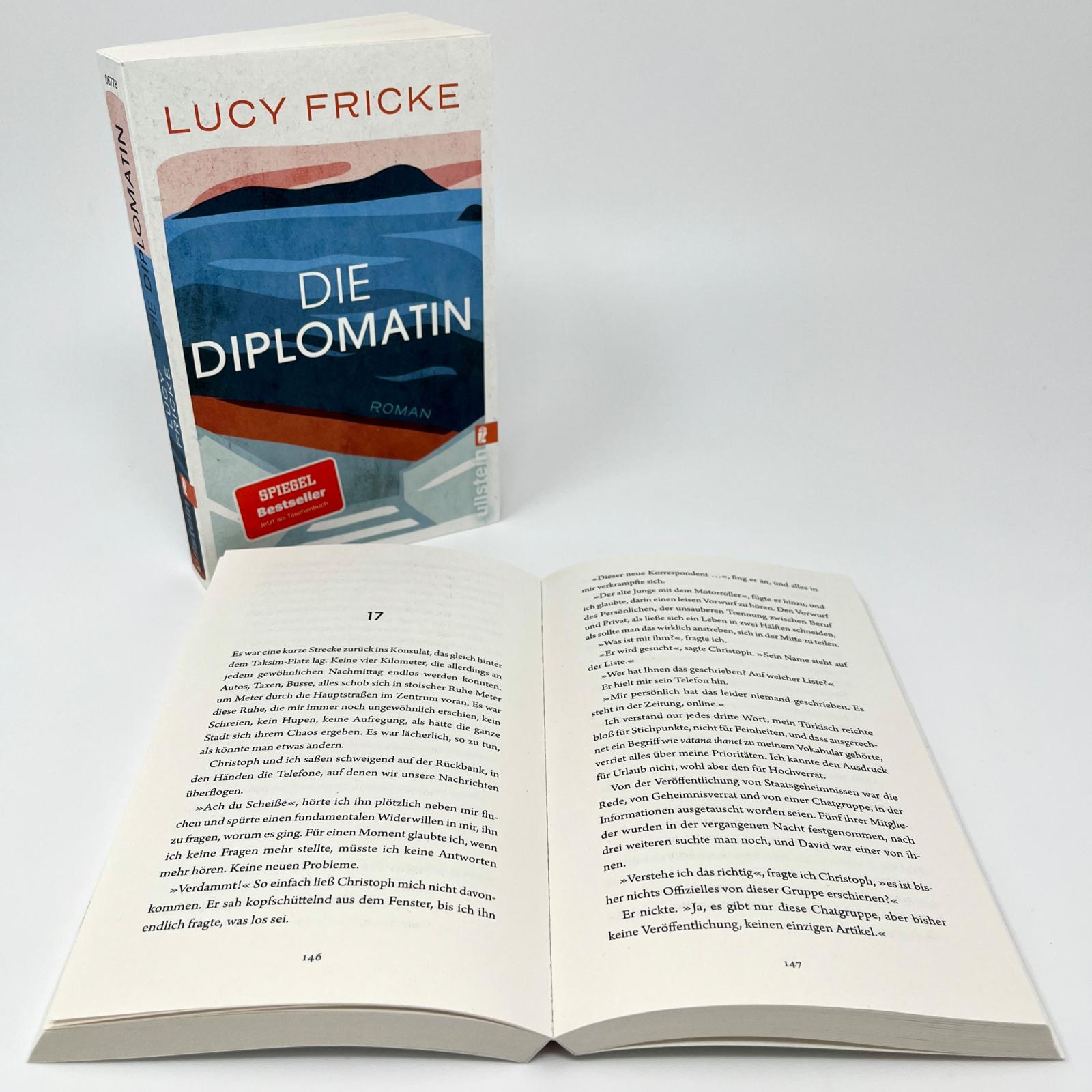 Beispielinhalt (Bild) Die Diplomatin