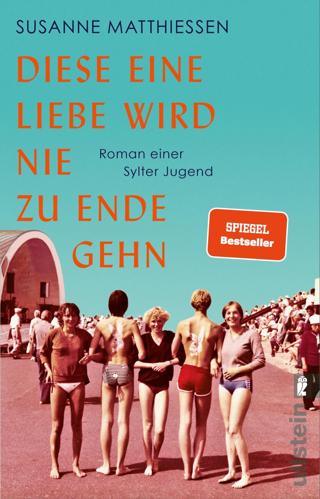 Vorderes Coverbild Diese eine Liebe wird nie zu Ende gehn