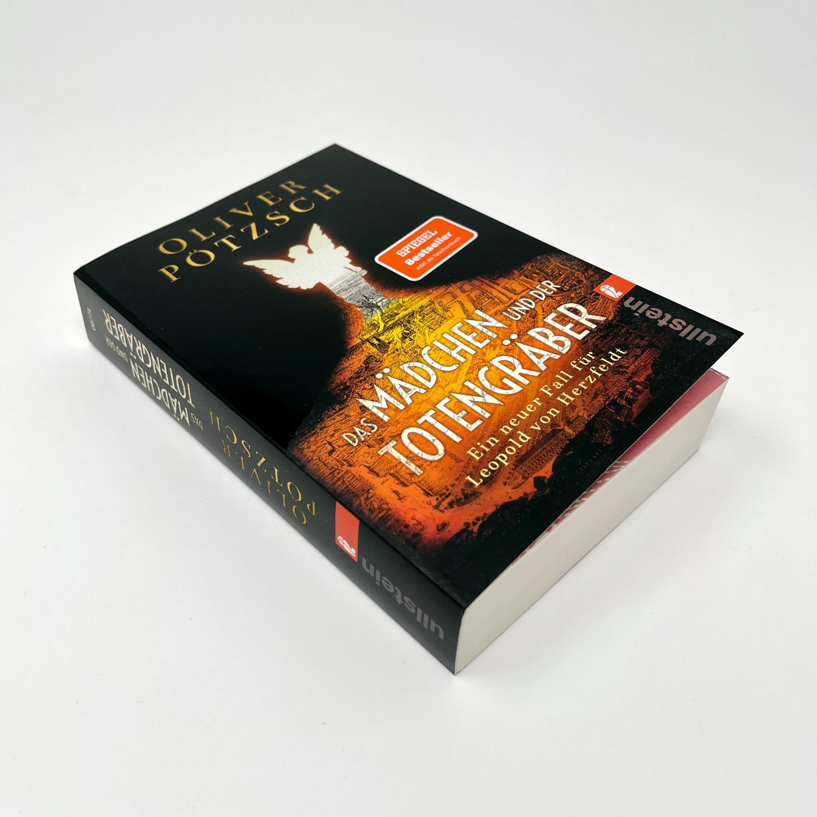 Beispielinhalt (Bild) Das Mädchen und der Totengräber