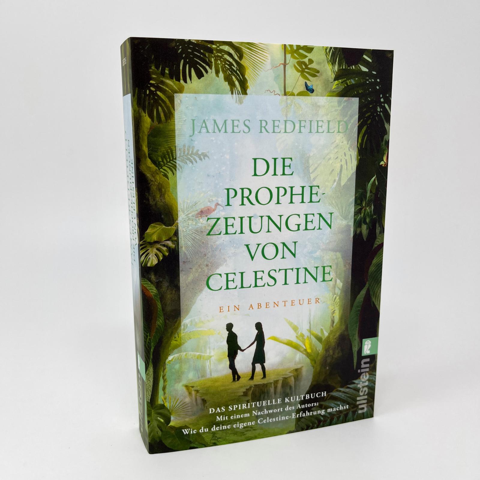 Beispielinhalt (Bild) Die Prophezeiungen von Celestine