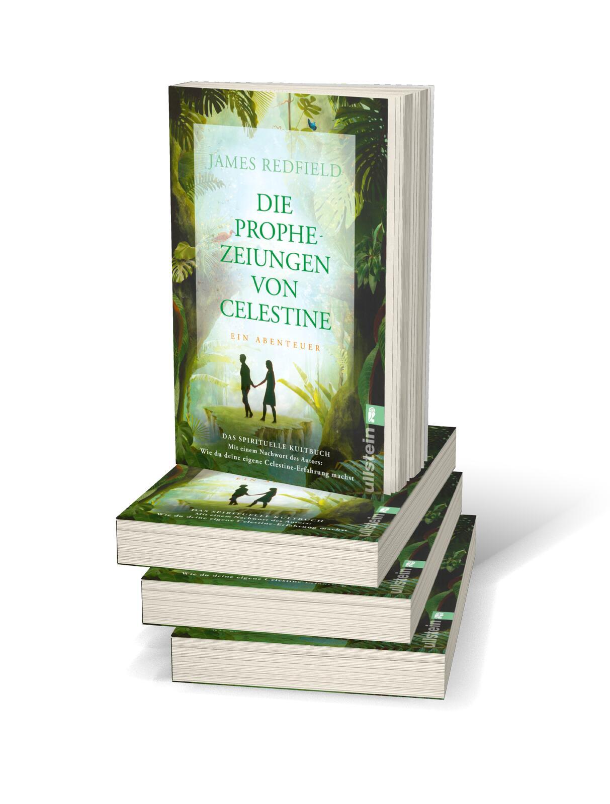 Beispielinhalt (Bild) Die Prophezeiungen von Celestine