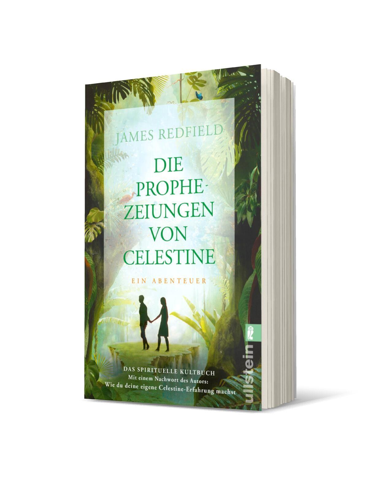 Vorderes Coverbild Die Prophezeiungen von Celestine
