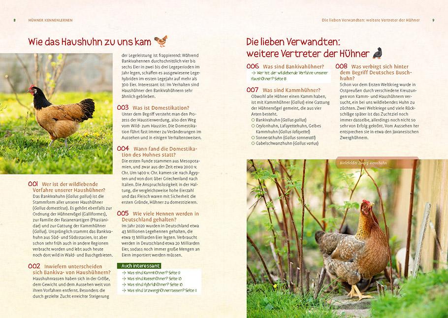 Beispielinhalt (Bild) Hühner