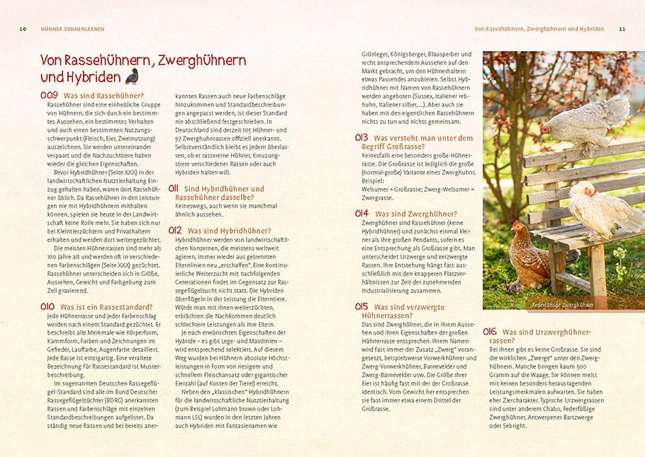 Beispielinhalt (Bild) Hühner