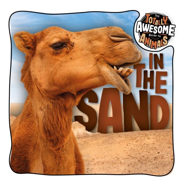 Vorderes Coverbild In the Sand