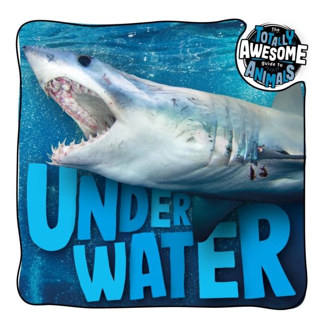 Vorderes Coverbild Under Water