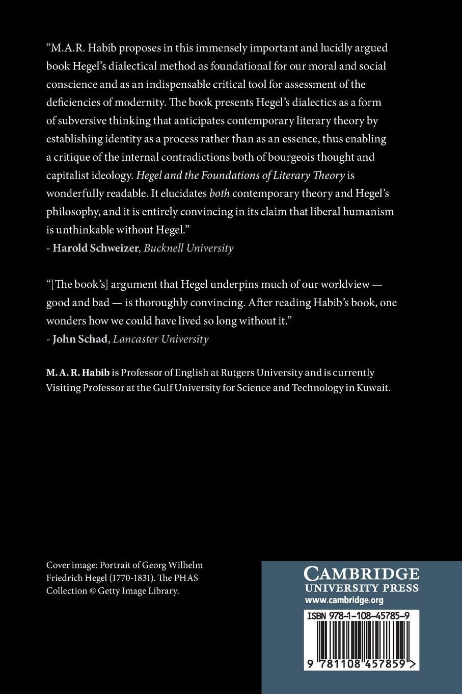 Rückseitencover Hegel and the Foundations of Literary Theory