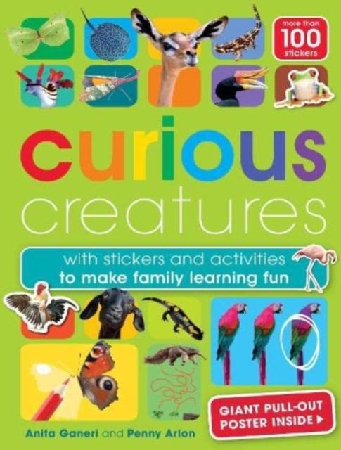 Vorderes Coverbild Curious Creatures
