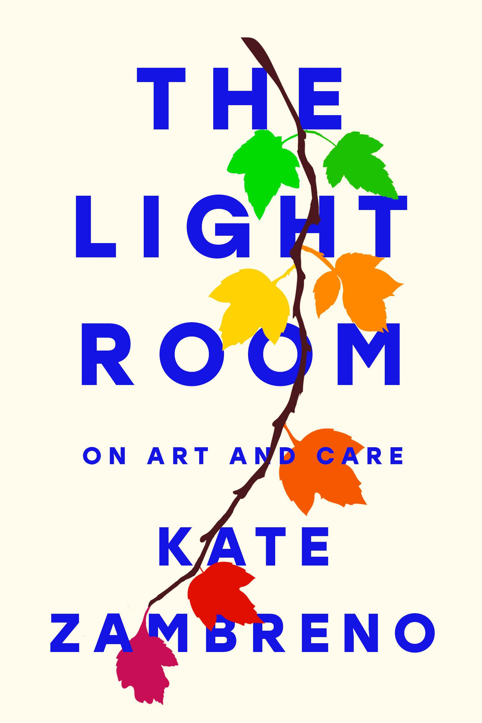 Vorderes Coverbild The Light Room