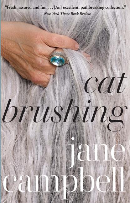 Vorderes Coverbild Cat Brushing