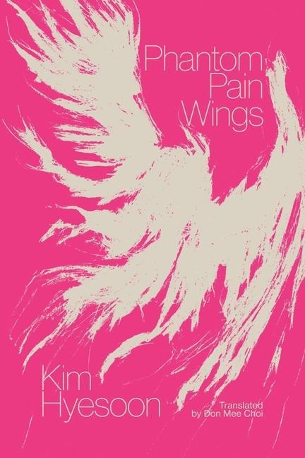 Vorderes Coverbild Phantom Pain Wings