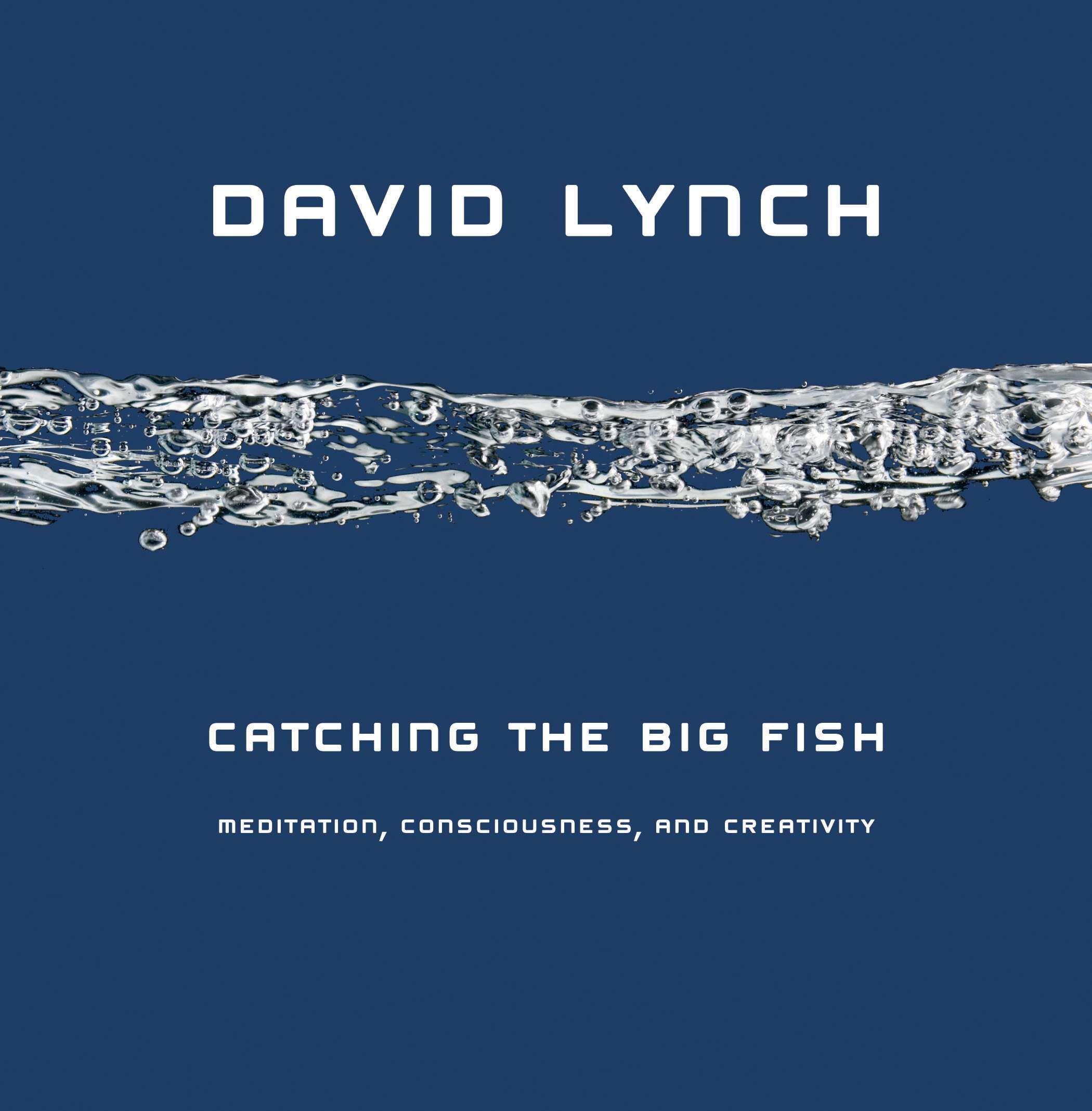 Vorderes Coverbild Catching the Big Fish