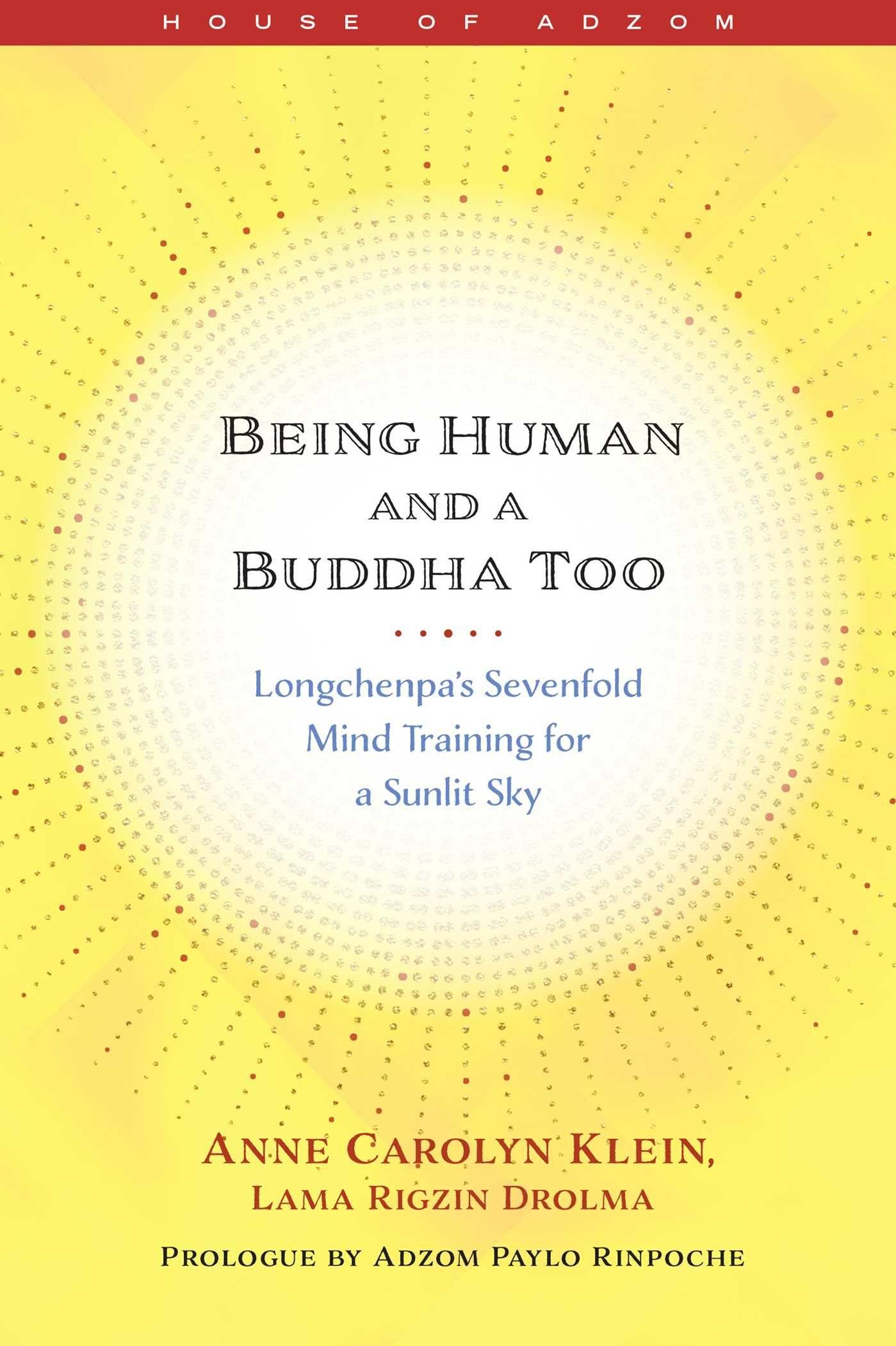 Vorderes Coverbild Being Human and a Buddha Too