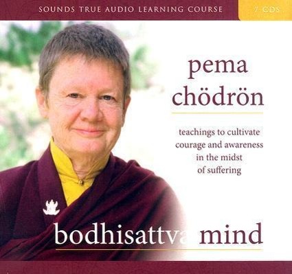 Vorderes Coverbild Bodhisattva Mind: Teachings to Cultivate Courage and Awareness in the Midst of Suffering