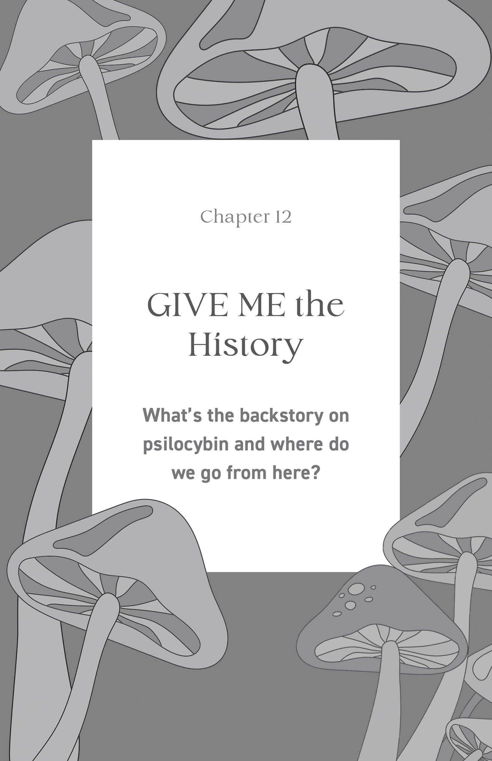 Beispielinhalt (Bild) Psilocybin Handbook for Women
