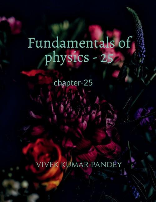 Vorderes Coverbild Fundamentals of physics - 25