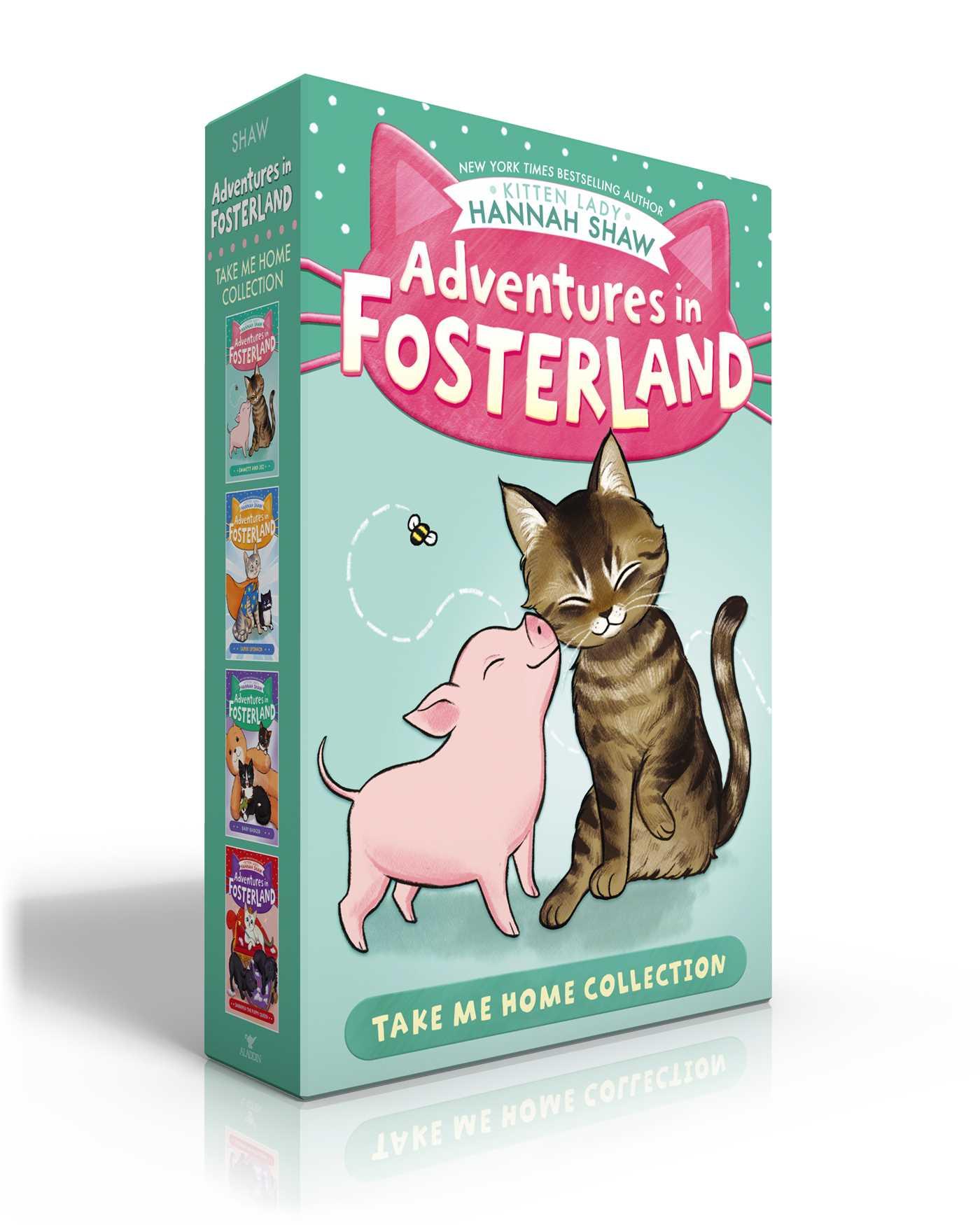Vorderes Coverbild Adventures in Fosterland Take Me Home Collection (Boxed Set)