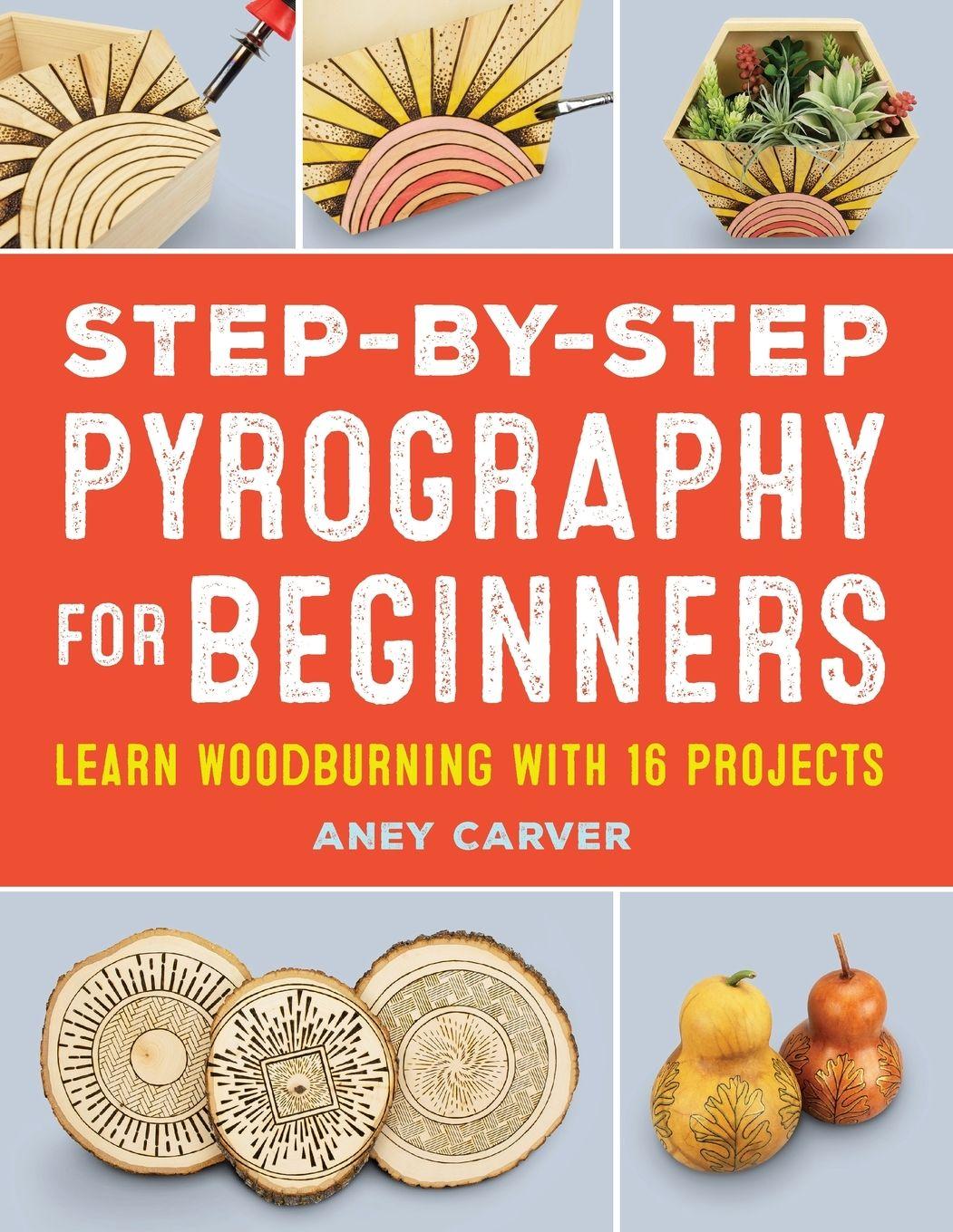 Vorderes Coverbild Step-by-Step Pyrography for Beginners