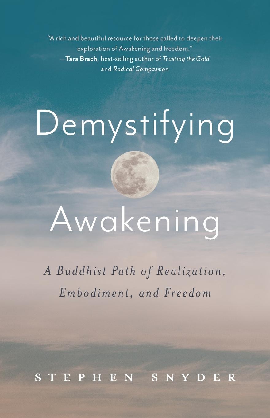 Vorderes Coverbild Demystifying Awakening