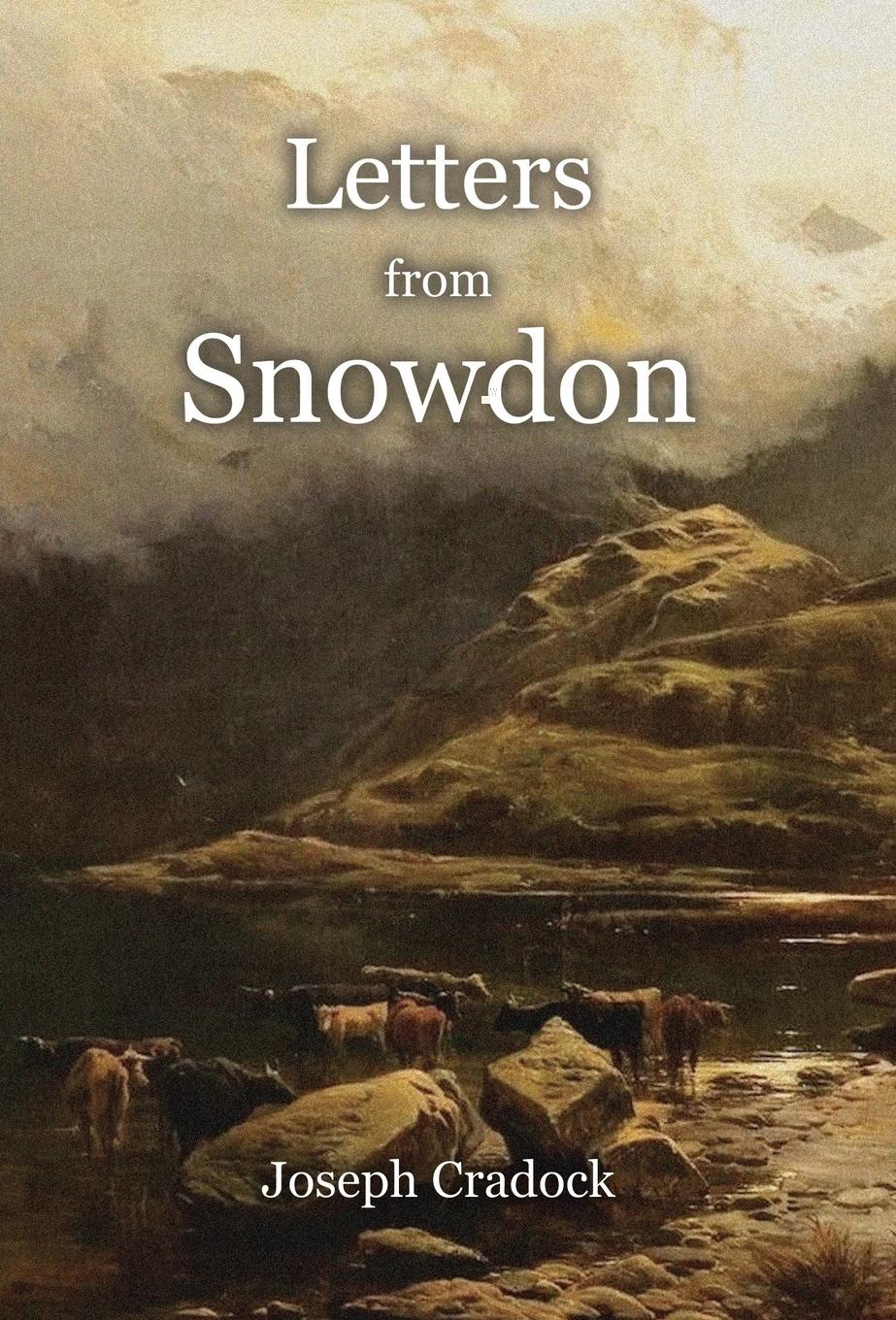Vorderes Coverbild Letters from Snowdon