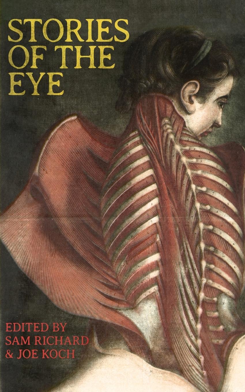 Vorderes Coverbild Stories of the Eye