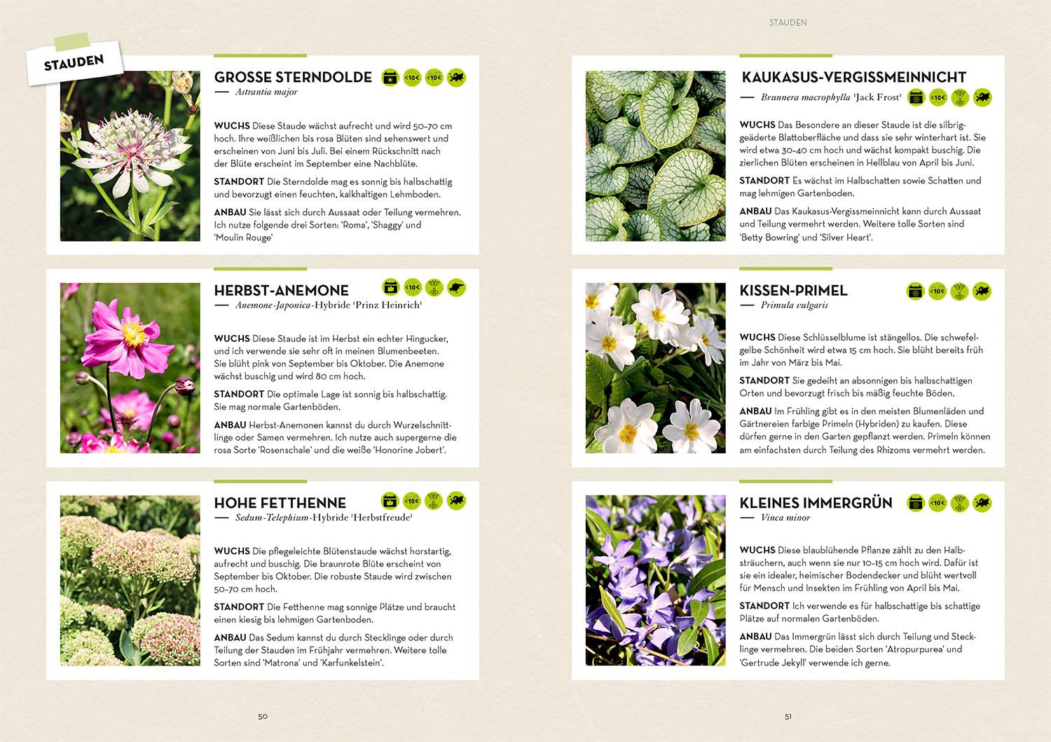 Beispielinhalt (Bild) Garten - einfach günstig