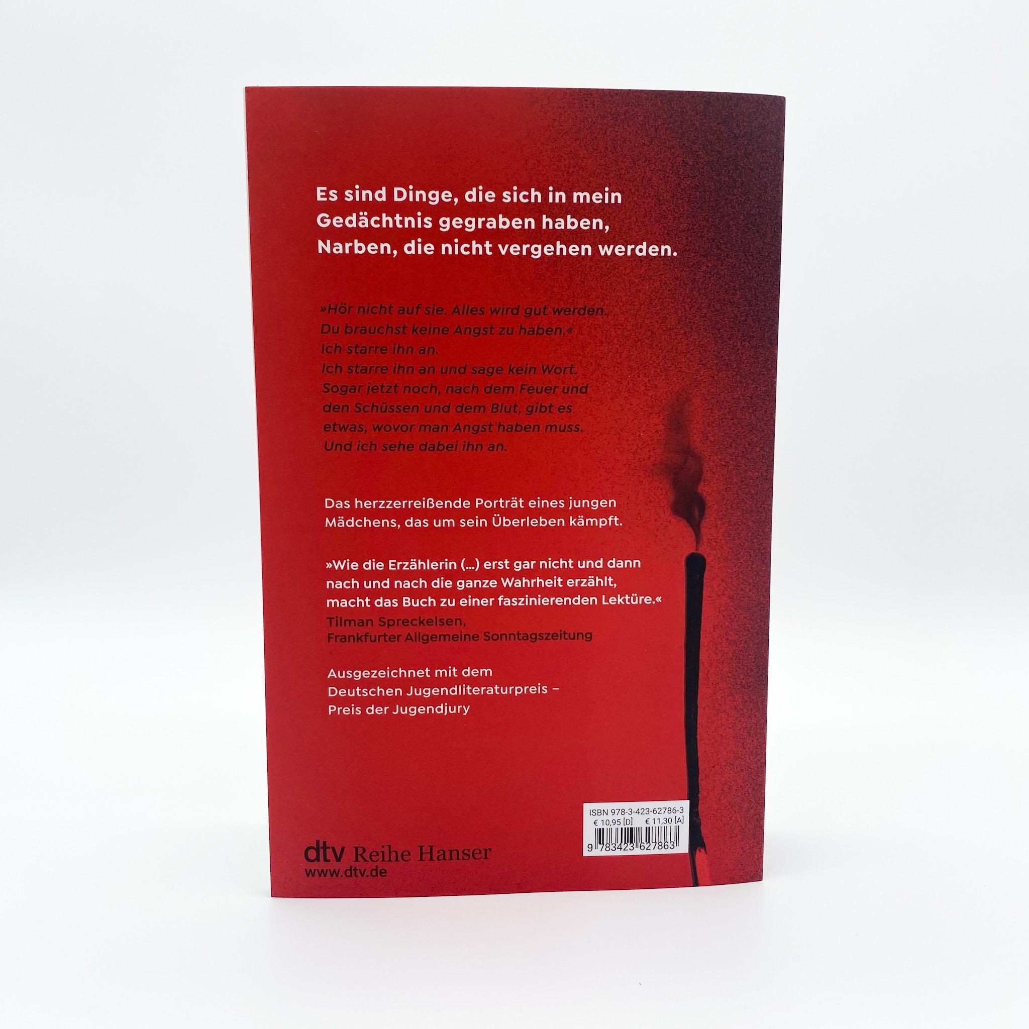 Beispielinhalt (Bild) After the Fire