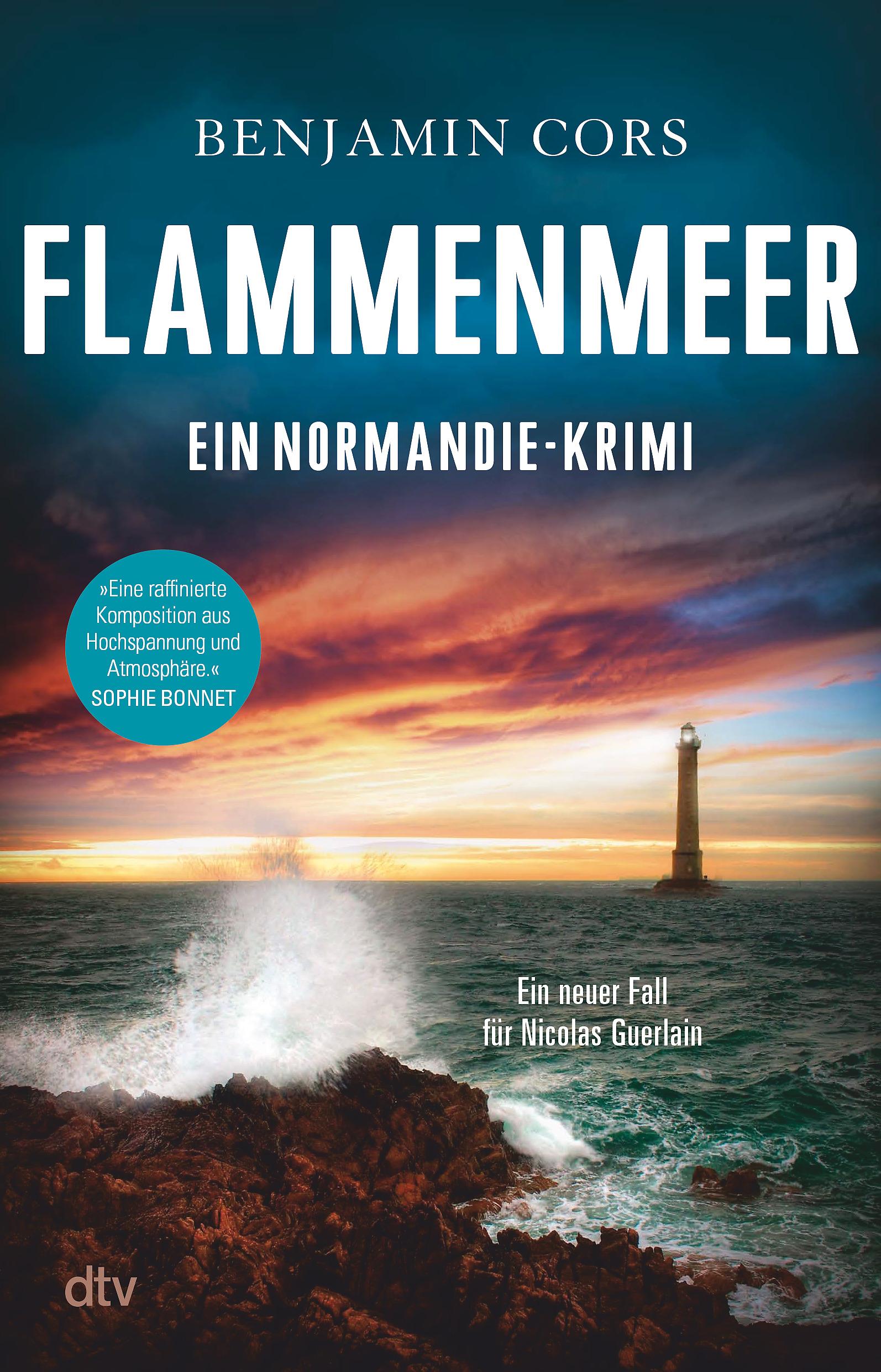 Vorderes Coverbild Flammenmeer