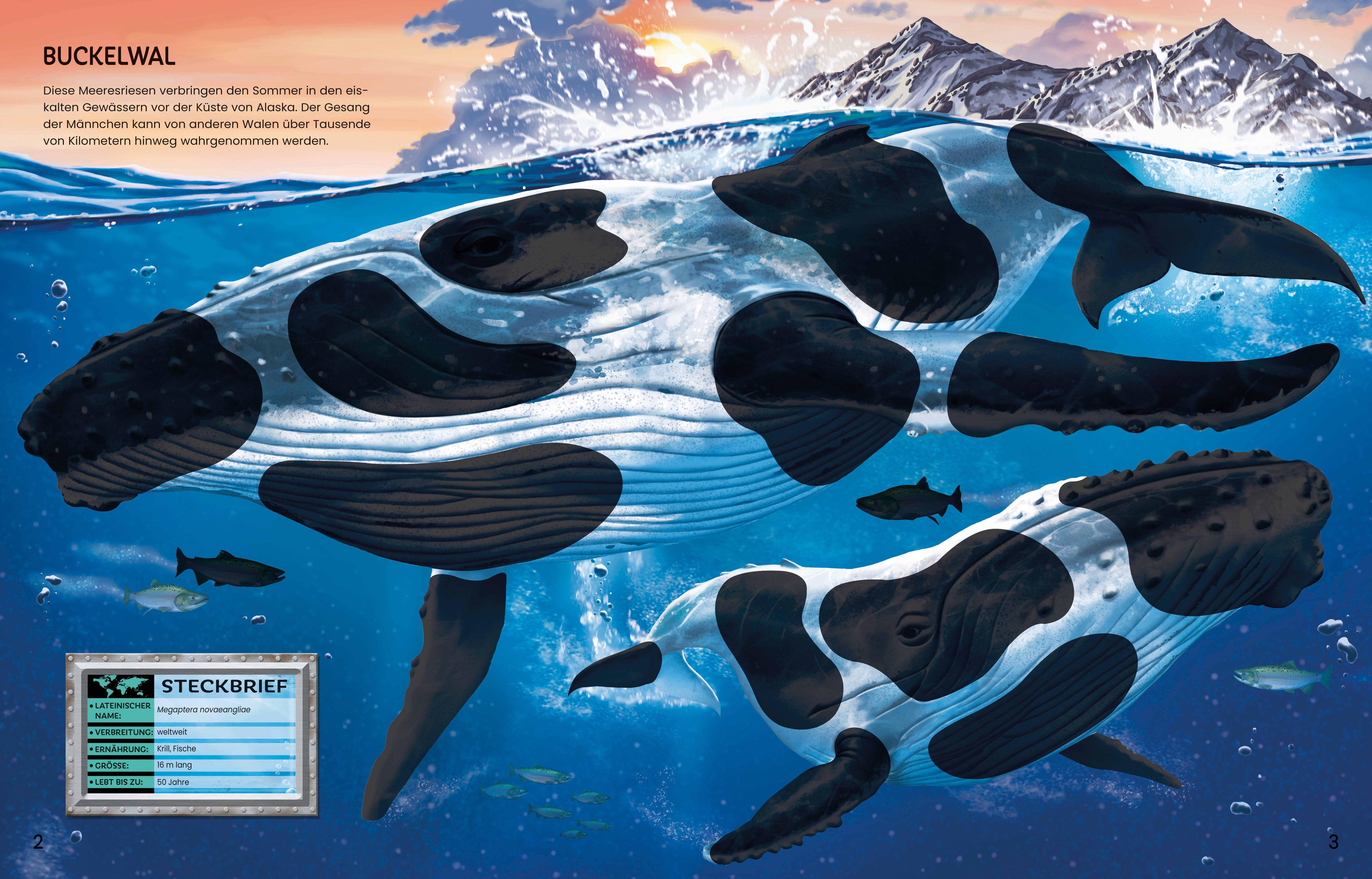 Beispielinhalt (Bild) Der große Stickerspaß: Meerestiere