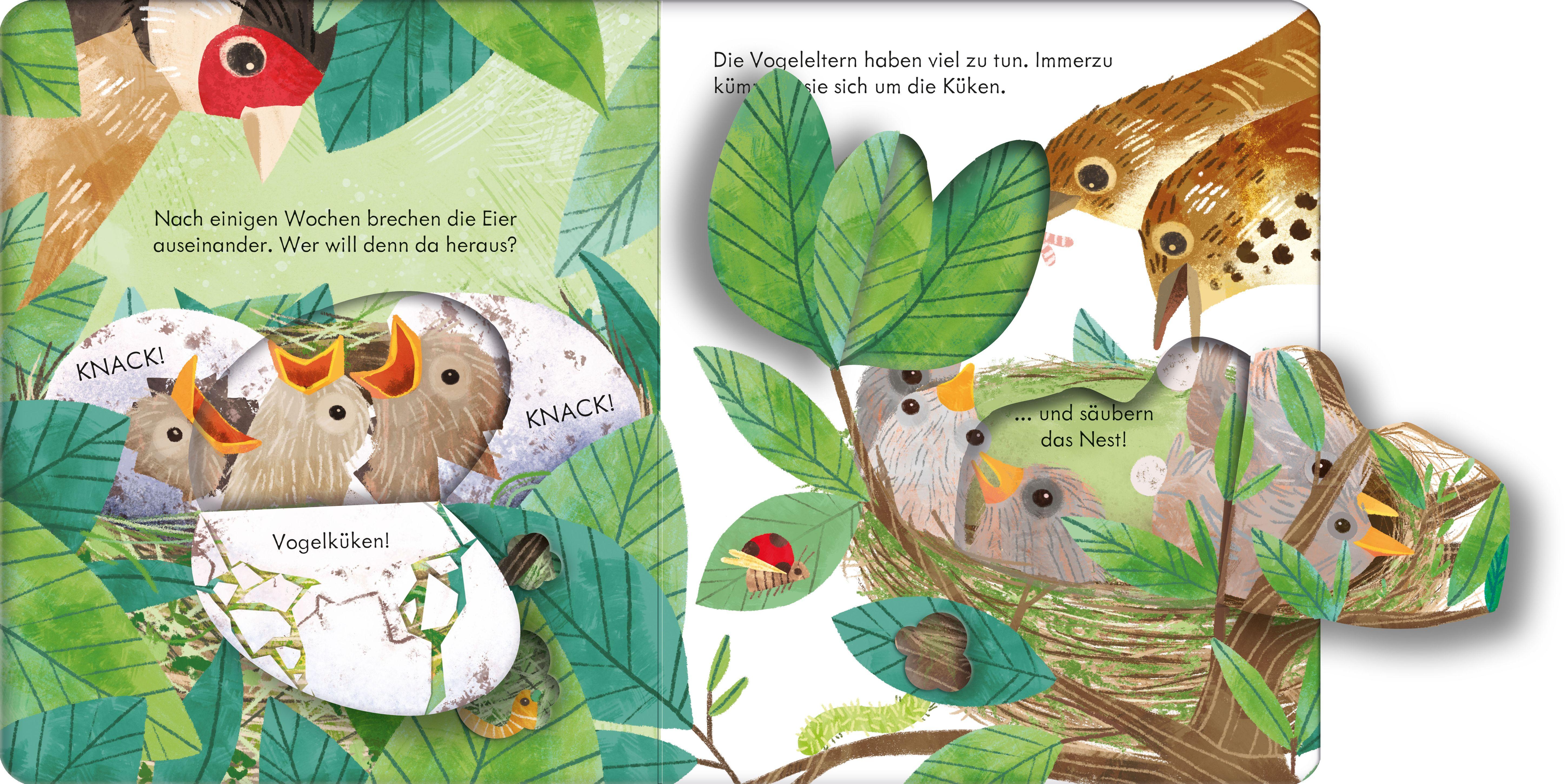 Beispielinhalt (Bild) Guck mal, wer da ist! Im Vogelnest