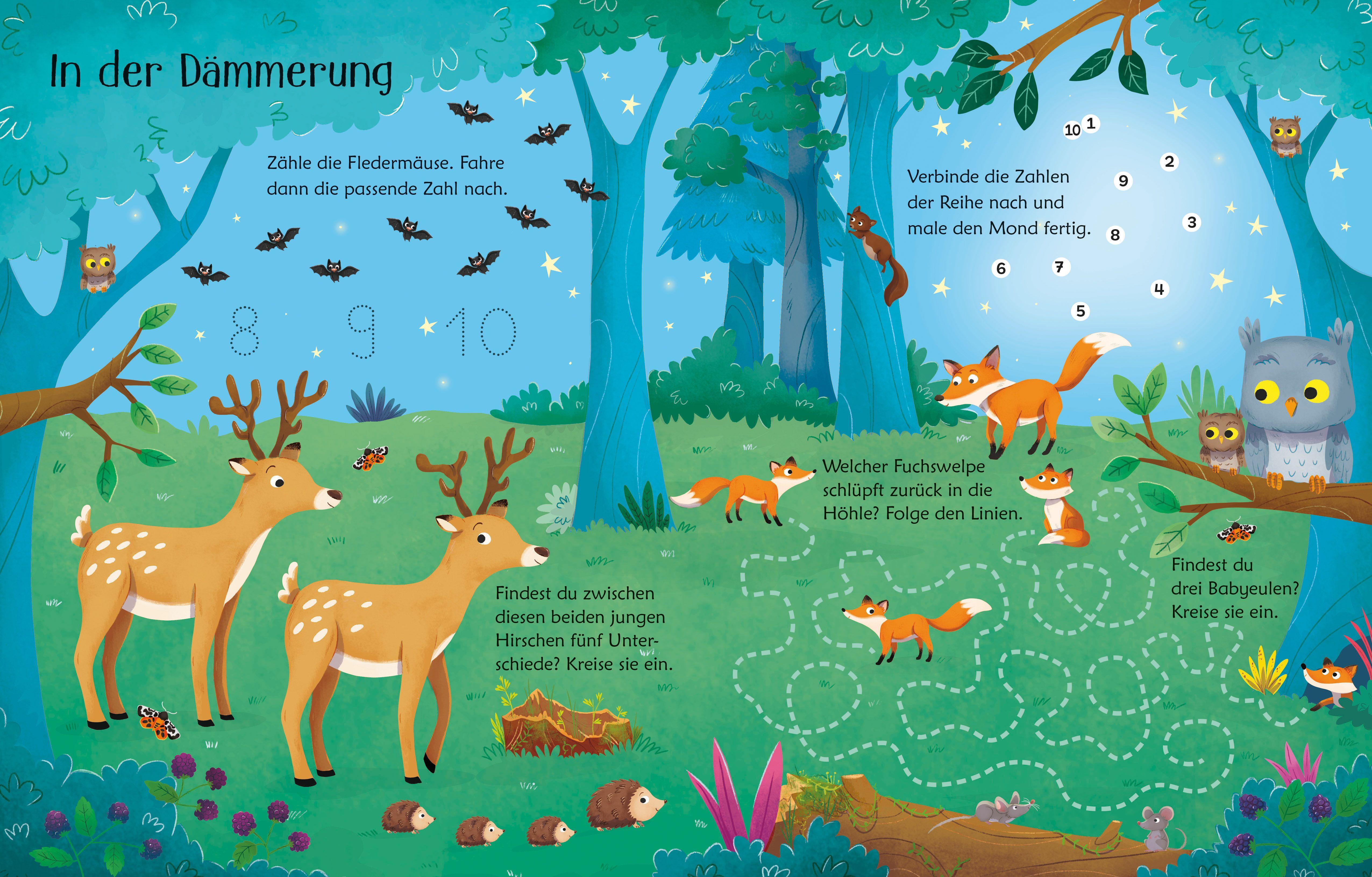 Beispielinhalt (Bild) Mein Wisch-und-weg-Buch: Im Wald