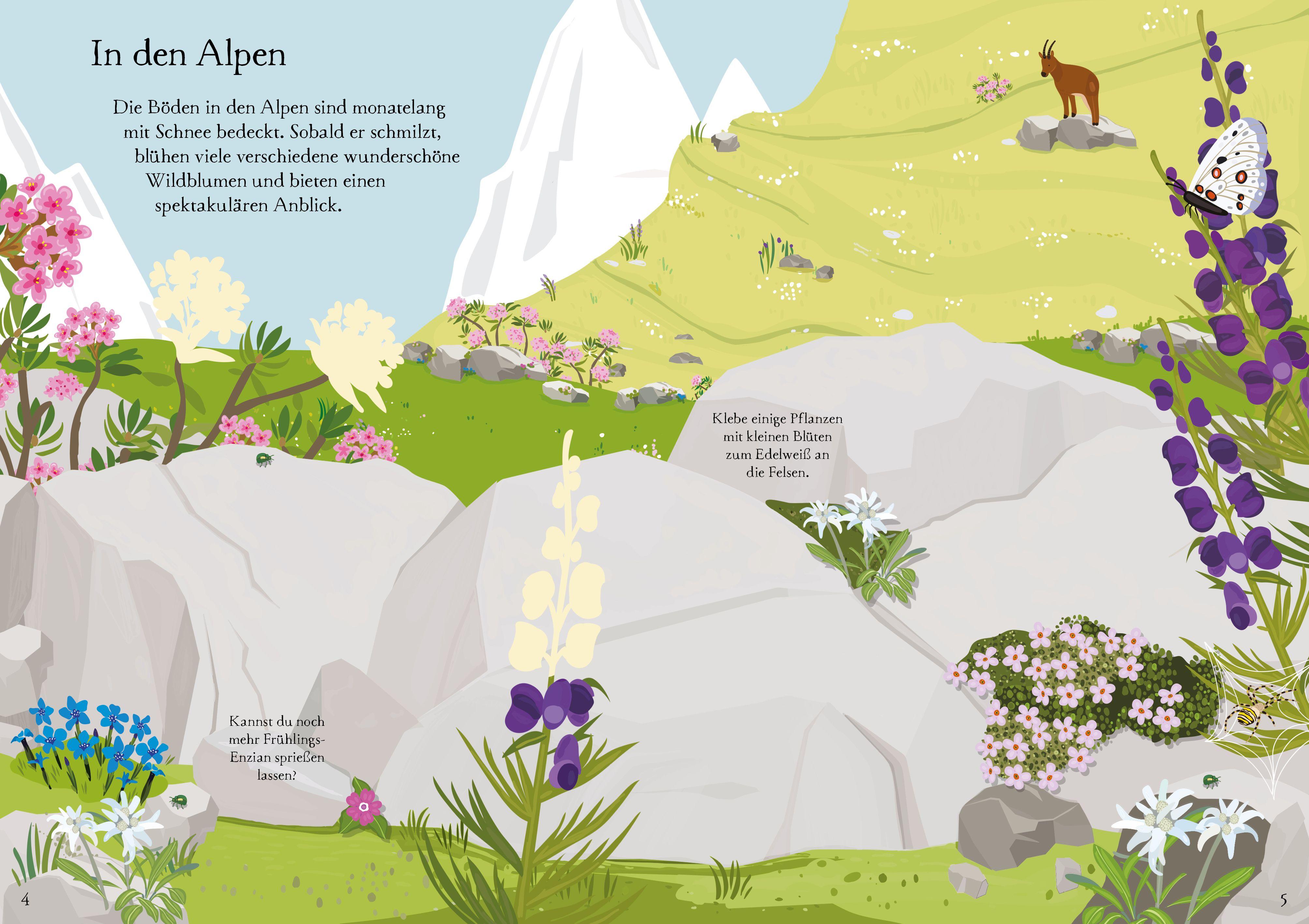 Beispielinhalt (Bild) Mein Immer-wieder-Stickerbuch: Wildblumen