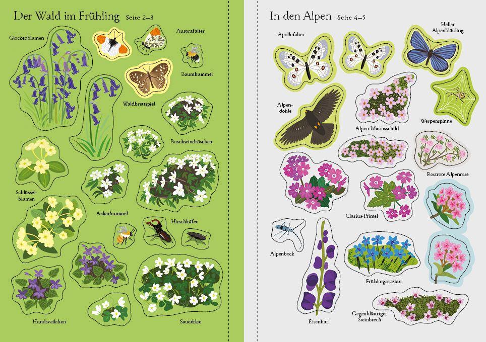 Beispielinhalt (Bild) Mein Immer-wieder-Stickerbuch: Wildblumen