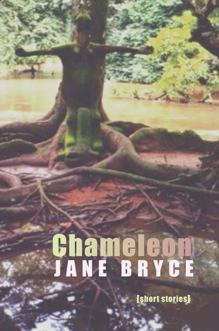 Vorderes Coverbild Chameleon
